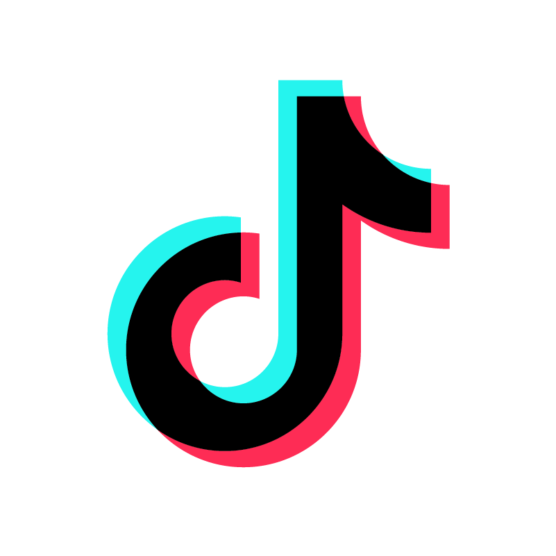 TikTok Icon